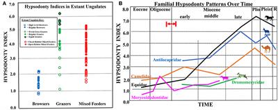 The Role of Grass vs. Exogenous Abrasives in the Paleodietary Patterns of North American Ungulates